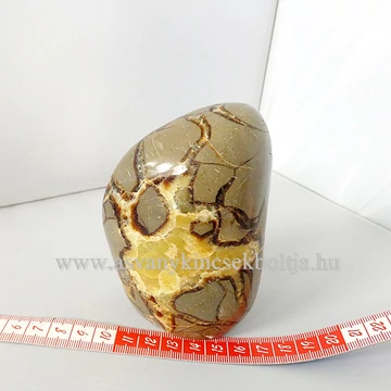 Szeptária óriás dísztárgy 28991