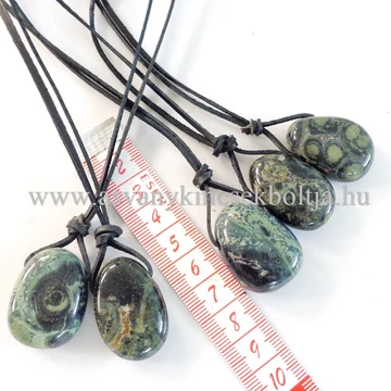 Kambaba jáspis fúrt medál 50 cm bőrszálon Kambaba jáspis fúrt medál 50 cm bőrszálon