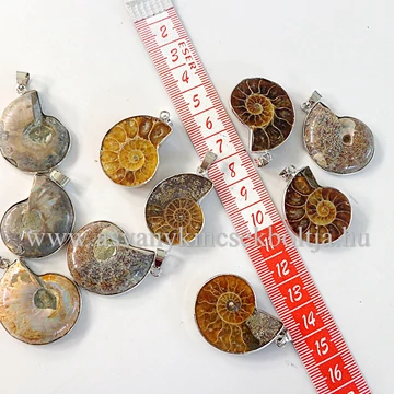 Félbe vágott ammonitesz medál